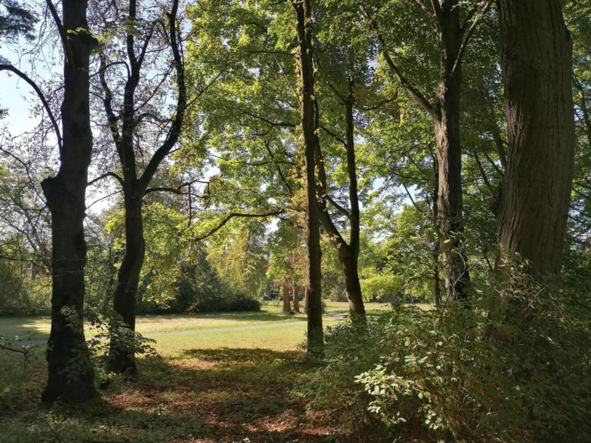 Spacious Apartment In Weser Uplands With Garden Bad Pyrmont Exteriör bild